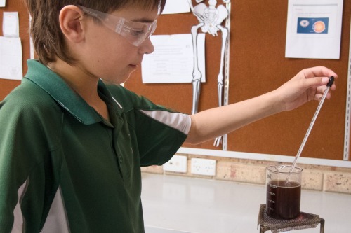 Beakers, Brains, and Brilliance: The Year 8 Science Fair Image