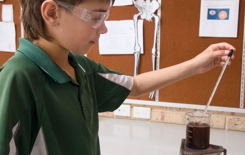 Beakers, Brains, and Brilliance: The Year 8 Science Fair Image