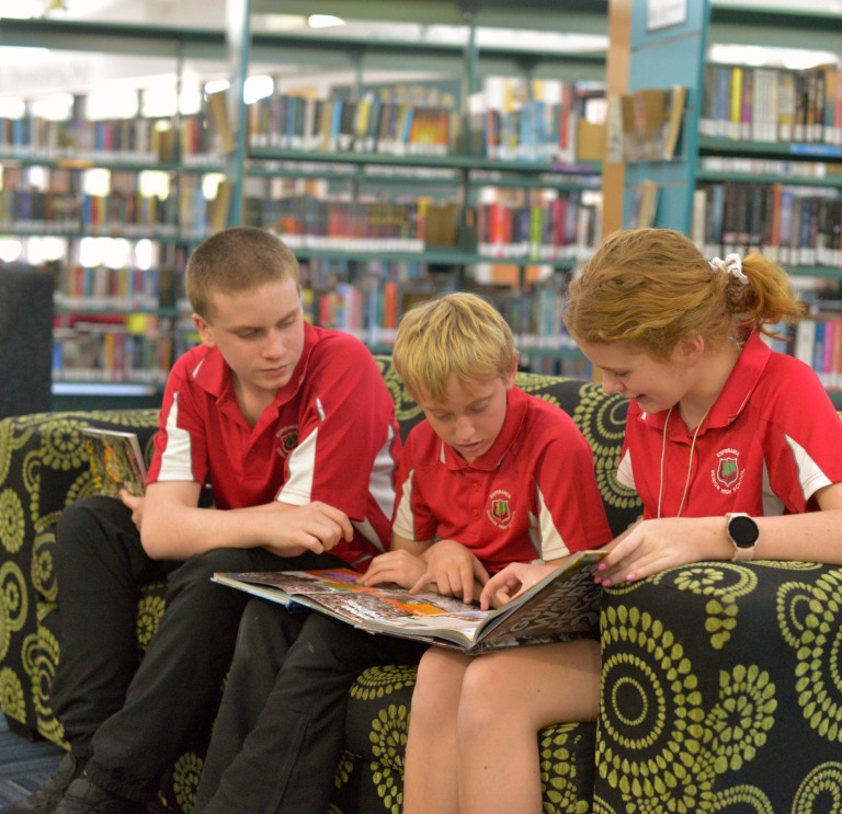 Reading in library