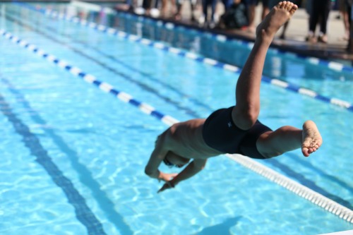 Swimming Carnival Image