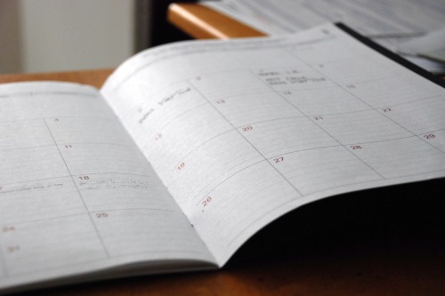 2025 Term 3 Planner Image