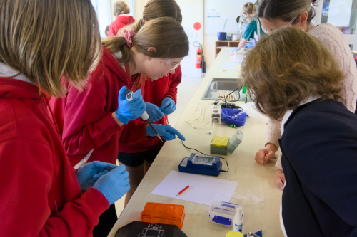 Flexing our Science Skills Image