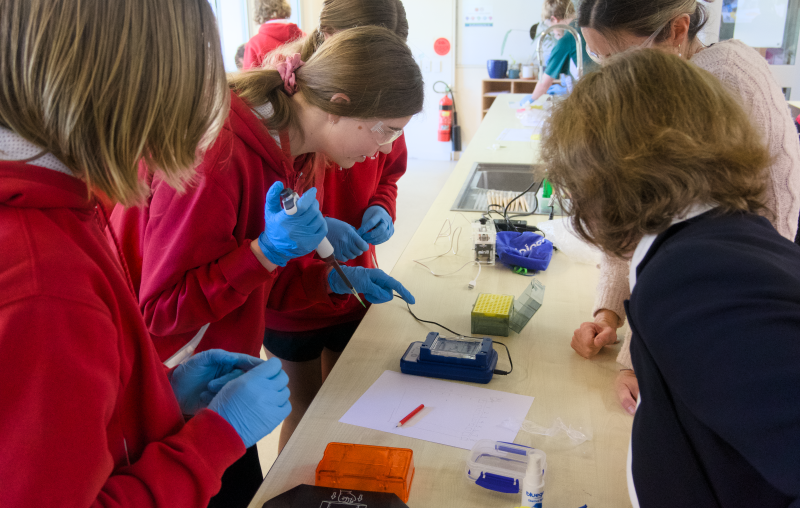 Flexing our Science Skills Image