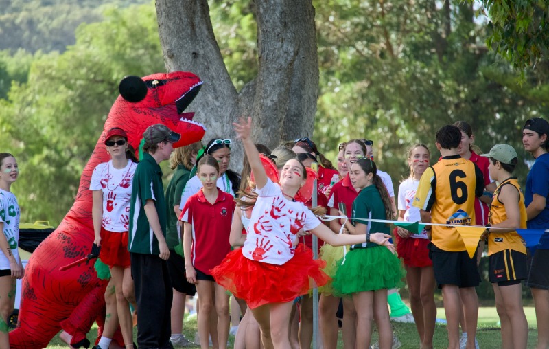 School Spirit & Sportsmanship Image